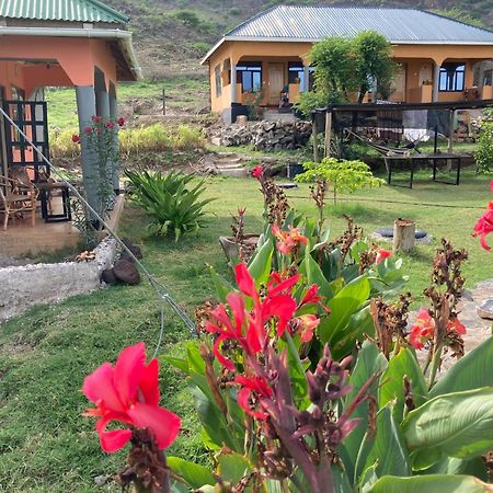 Lake Natron Maasai Guesthouse Mtowabaga Exterior foto