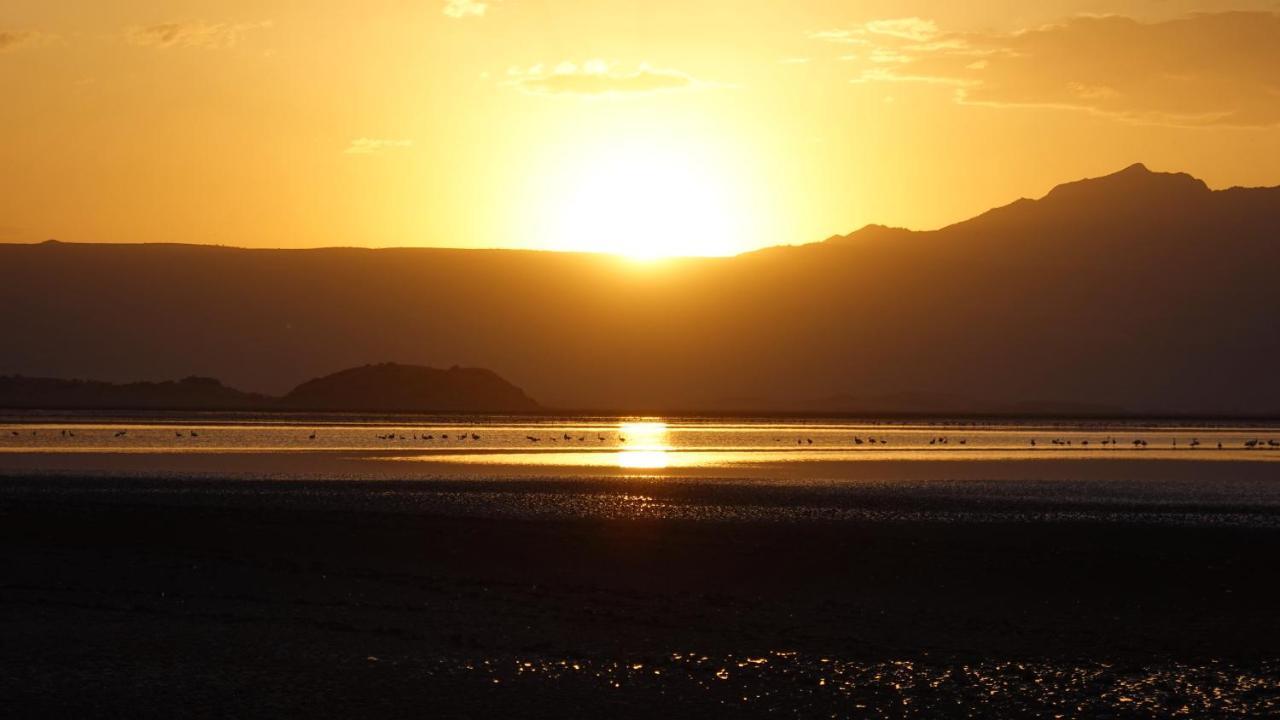 Lake Natron Maasai Guesthouse Mtowabaga Exterior foto
